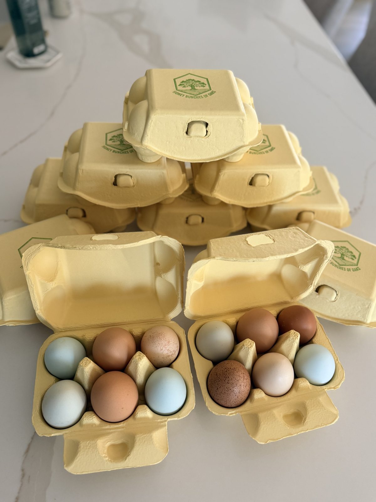 Pasture-raised eggs from Honey Bunches of Oaks — Bunny, Bell, Lady, Peppercorn, Sprout, Gal, Blue, and Betty's eggs in a carton, Dripping Springs TX